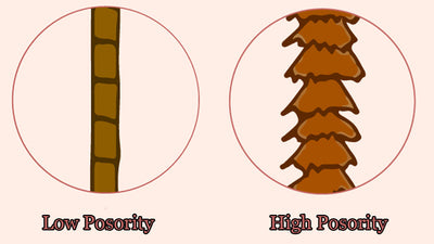 Low VS High Porosity Hair